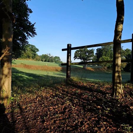 Saint-Martin-de-Cenilly La Vauterieヴィラ エクステリア 写真