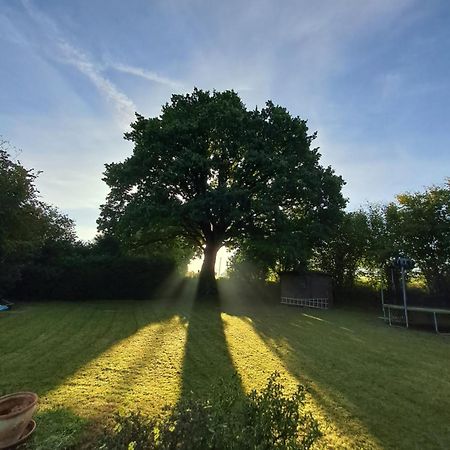 Saint-Martin-de-Cenilly La Vauterieヴィラ エクステリア 写真